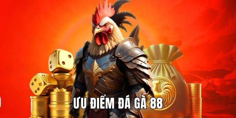 ưu điểm đá gà 88